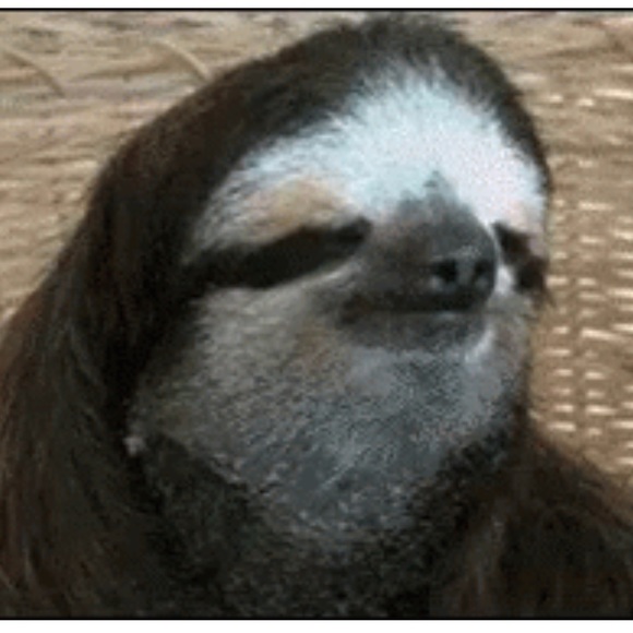 Meet your Posher, Shawn - Picture 1 of 1